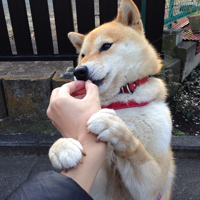雷霆强势压制凯尔特人，杰伦格林关键时刻定乾坤