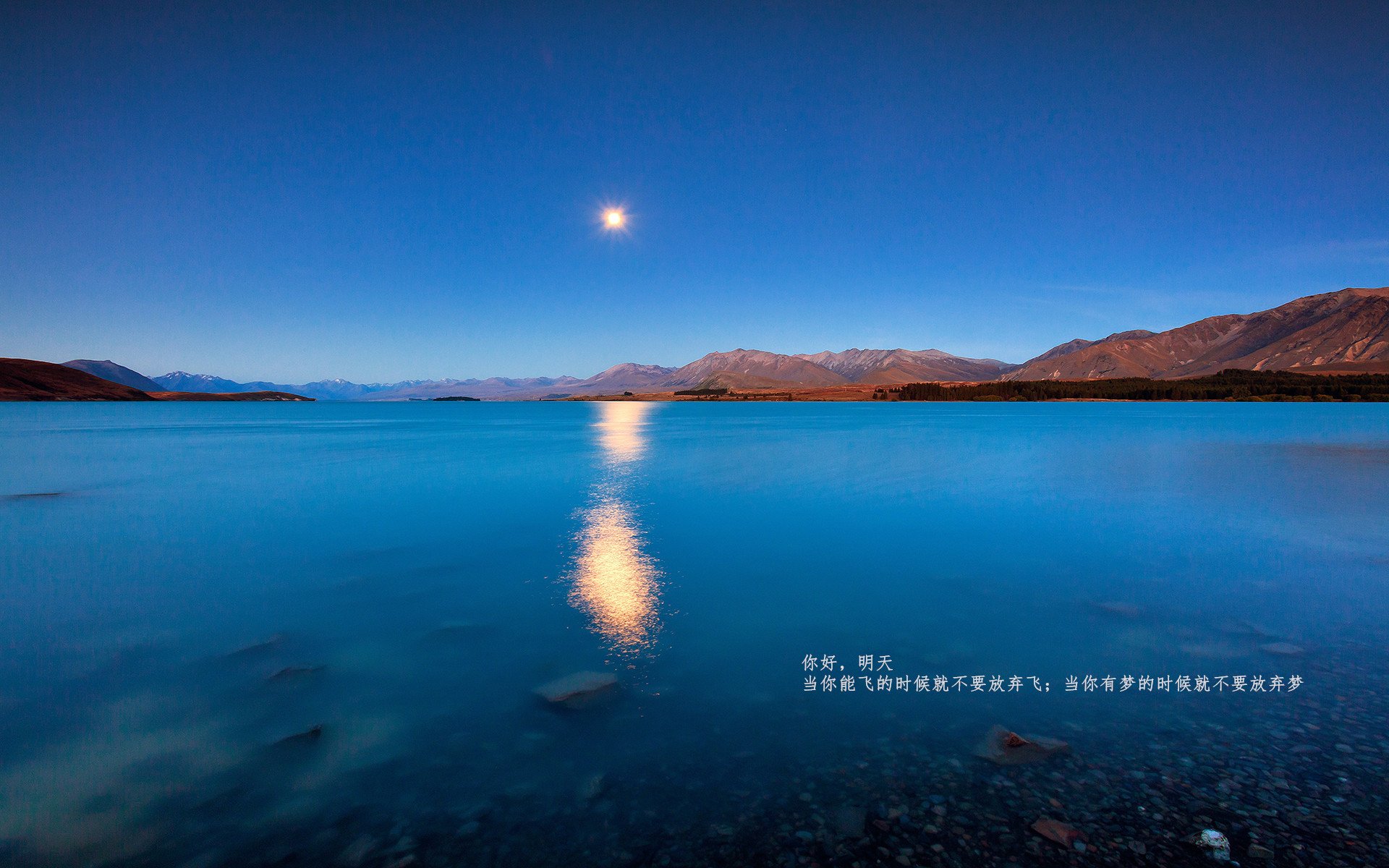孤星耀岭南，乔治末节独舞定乾坤，太阳客胜广东展獠牙