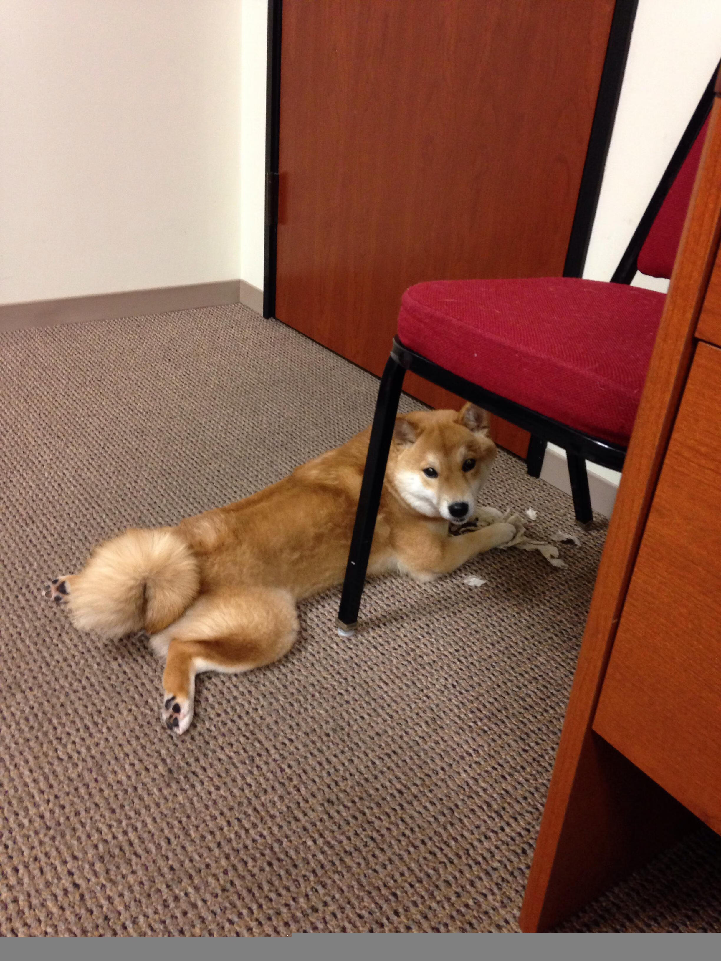 铁血防线撞上致命一刀,赖斯如何让拜仁粉碎毕尔巴鄂?