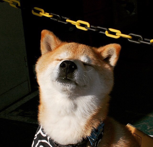 王冠易主，从强压湖人到世界杯接管，爱德华兹的时代预言