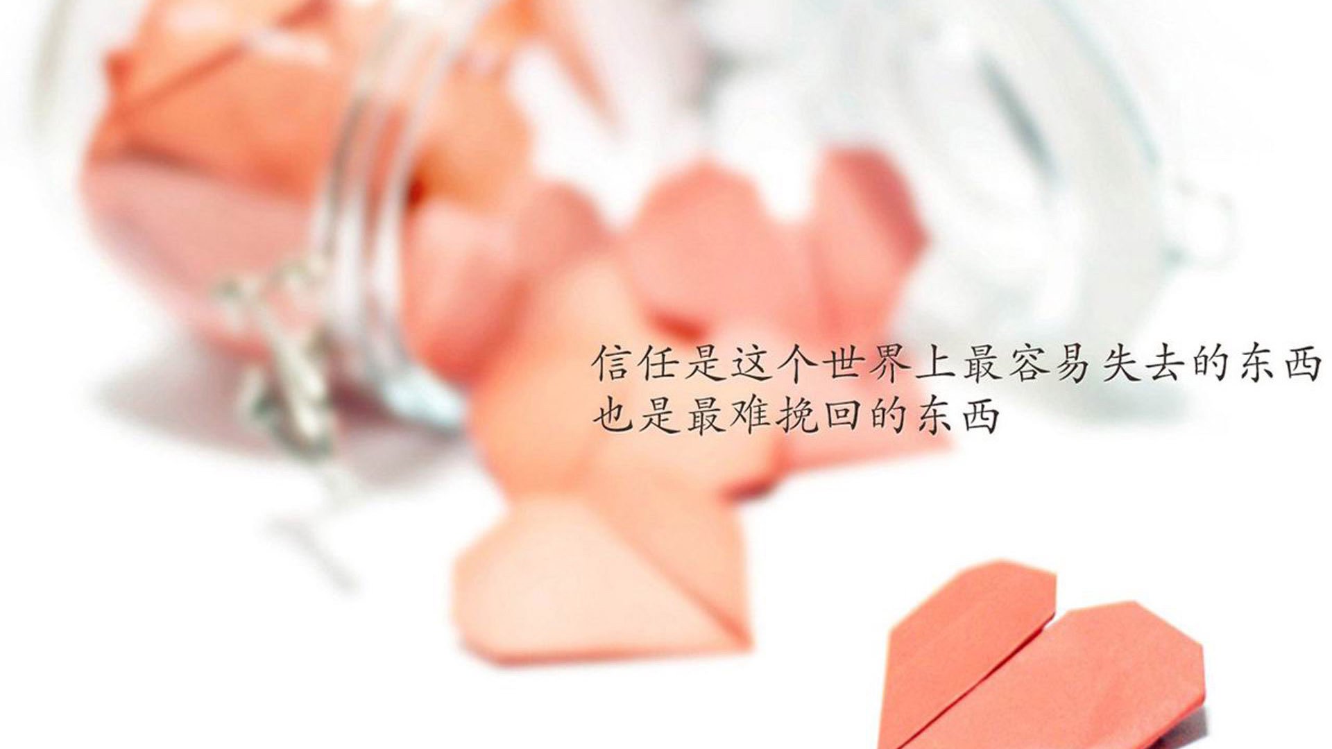 北境雄狮VS大洋黑蕨，当加维式风暴席卷绿茵场