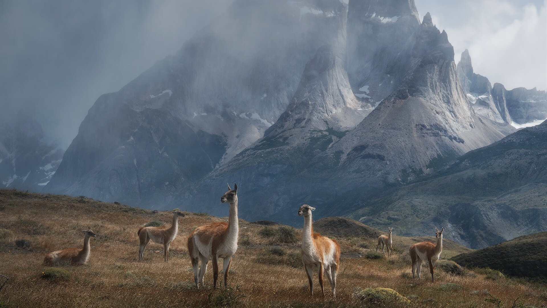 篮球跨界风云，尼克斯险胜广厦，范弗利特欧冠半决赛接管比赛