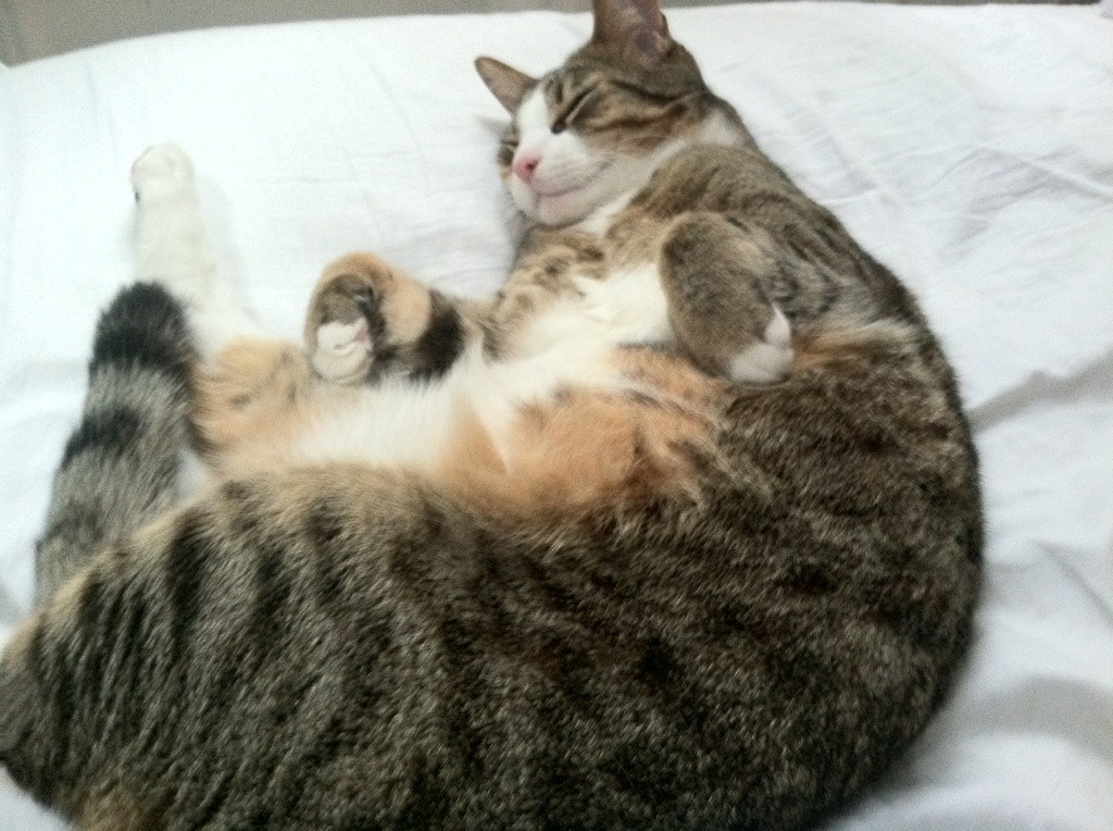 逆境中的血色黎明,太阳生死战背后的救赎与新生